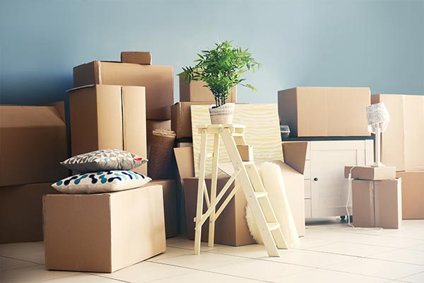 New Bajrang Packers and Movers